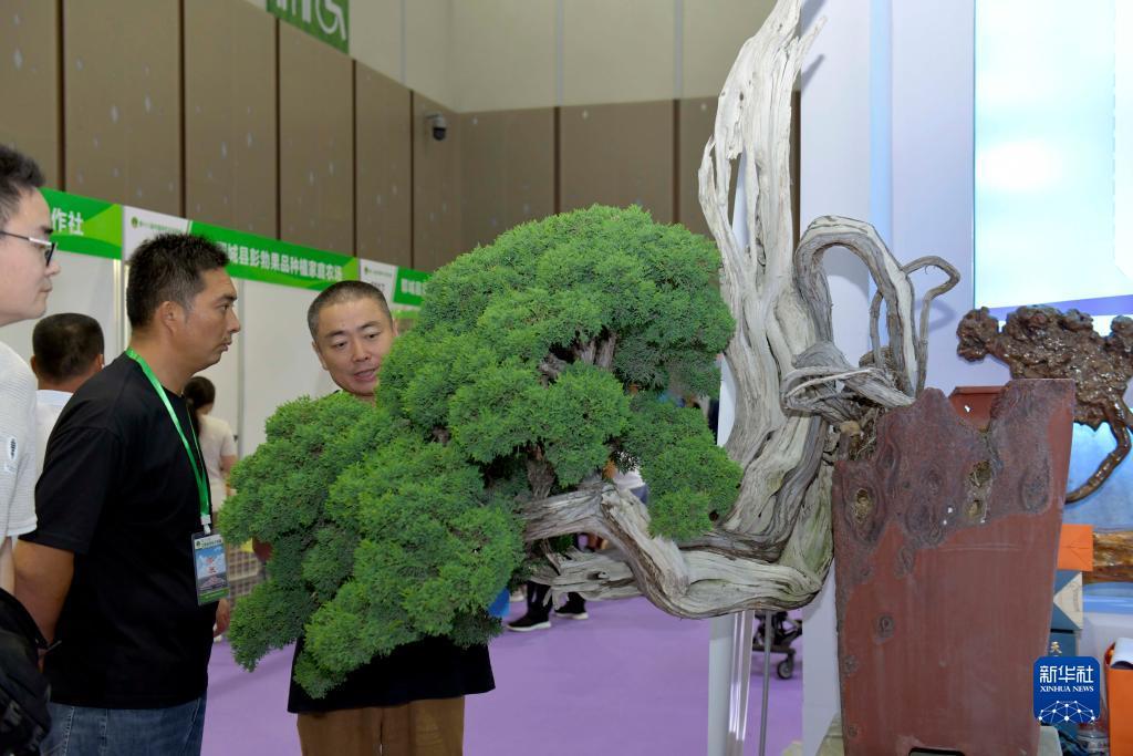 俄罗斯245娱乐